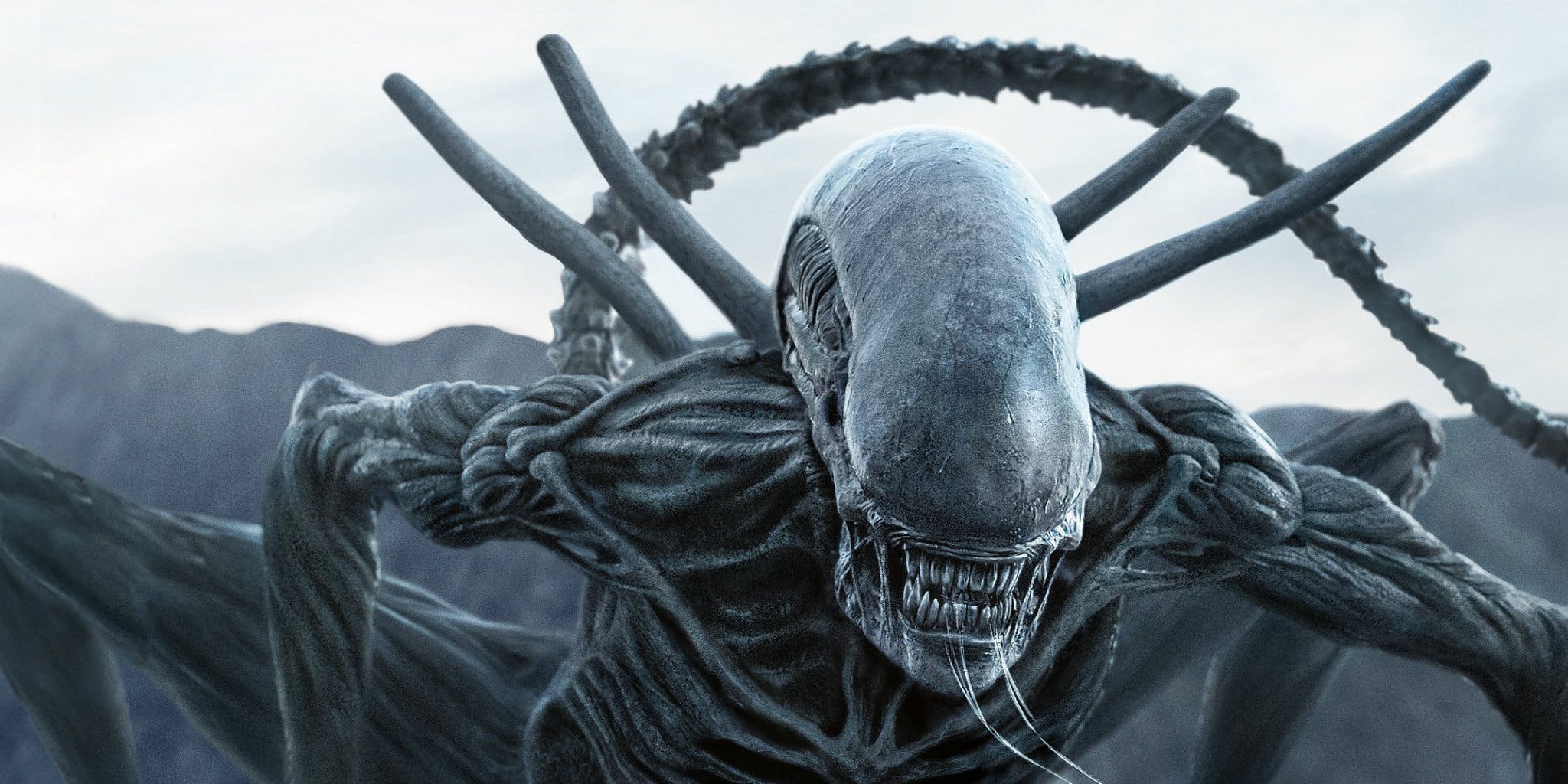 Un nouveau film Alien est annoncé sur Hulu, par Fede Álvarez