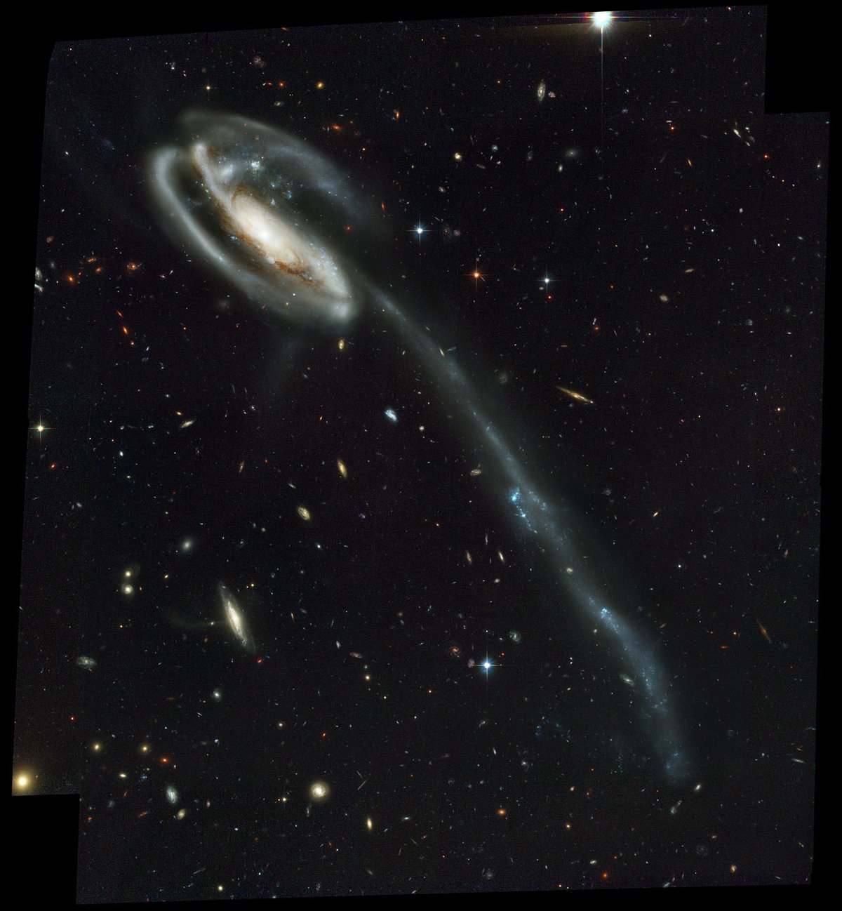 Et soudain, des galaxies par milliers. Crédits : NASA/ESA/HST