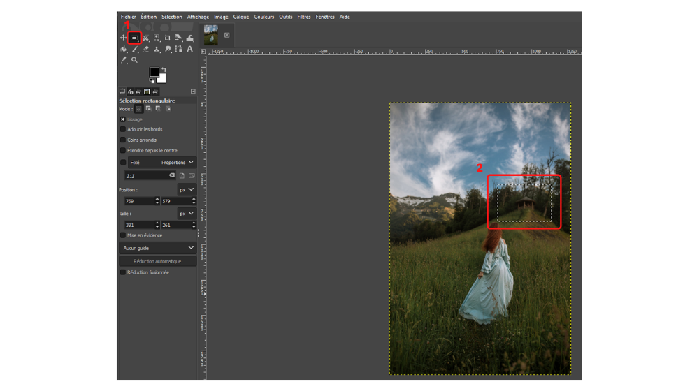 GIMP Selection 5 © © GIMP