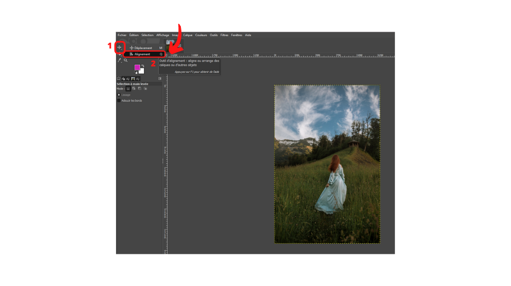 GIMP Aligner 2 © © GIMP