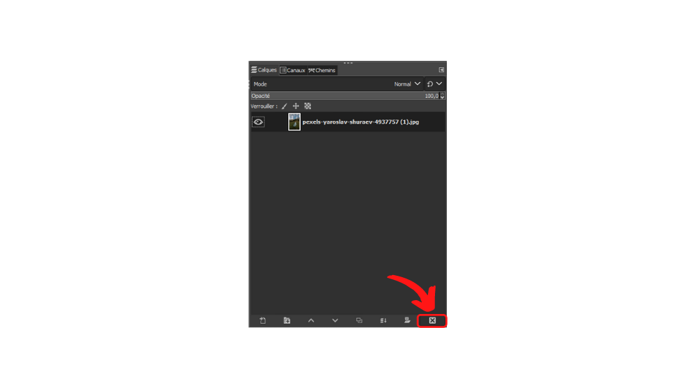 GIMP Suppr 3 © © GIMP