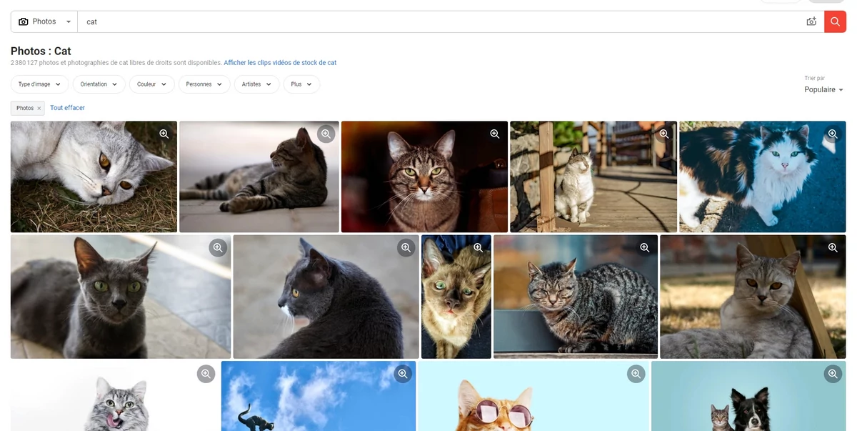 Shutterstock recherche © Shutterstock
