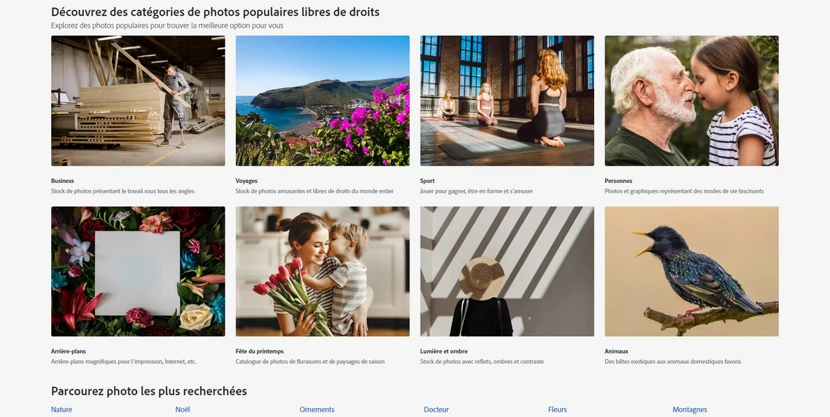 Adobe Stock catégories © Adobe Stock