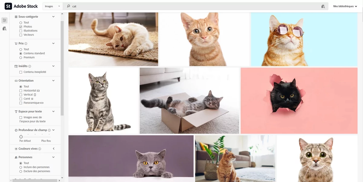 Adobe Stock filtres © Adobe Stock