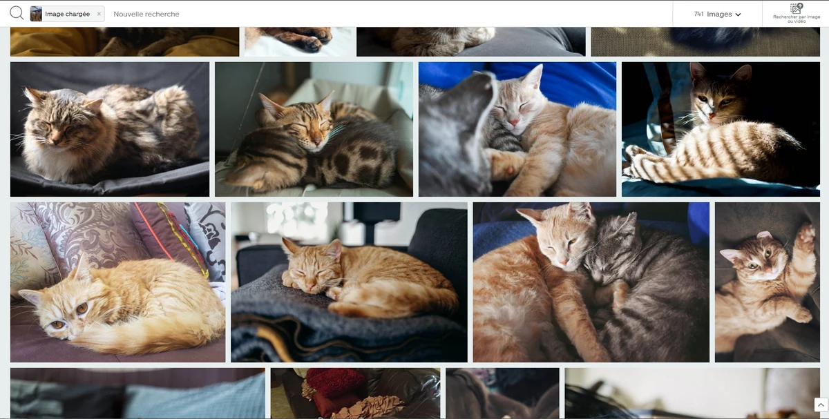 iStock recherche par image © iStock