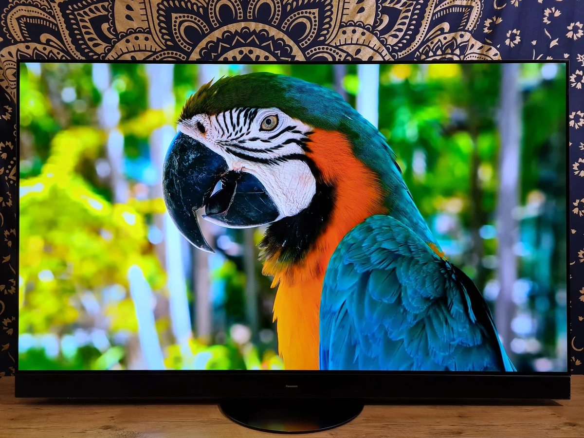 Test Panasonic TX-65JZ2000E_FHD © Matthieu Legouge