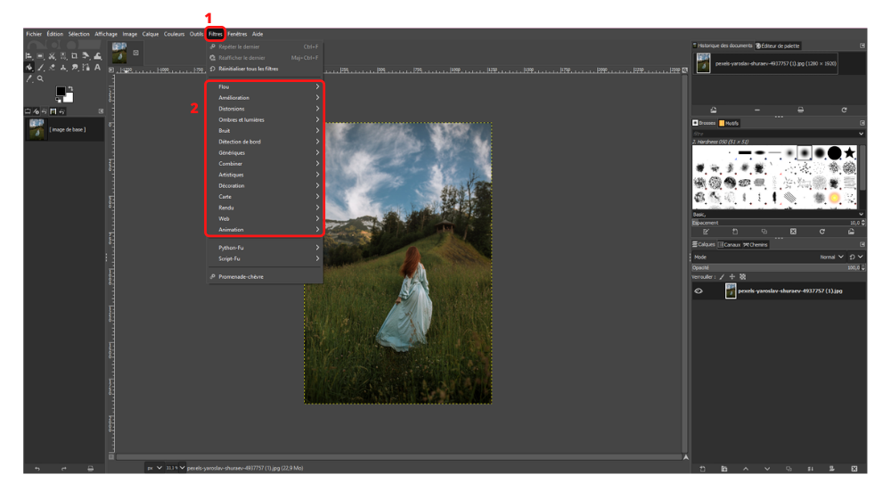 GIMP Filtre 1 © © GIMP