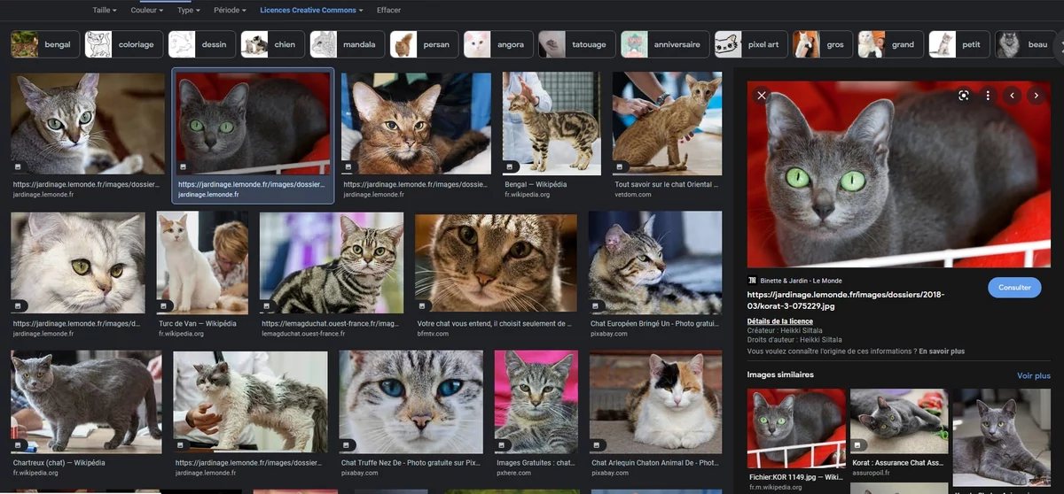 Google Images aperçu image © Google