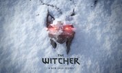 The Witcher 4 : le scénario du jeu nous livre déjà un secret