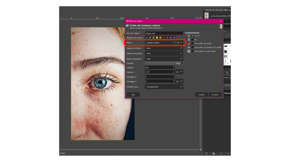 GIMP Yeux 1a © © GIMP