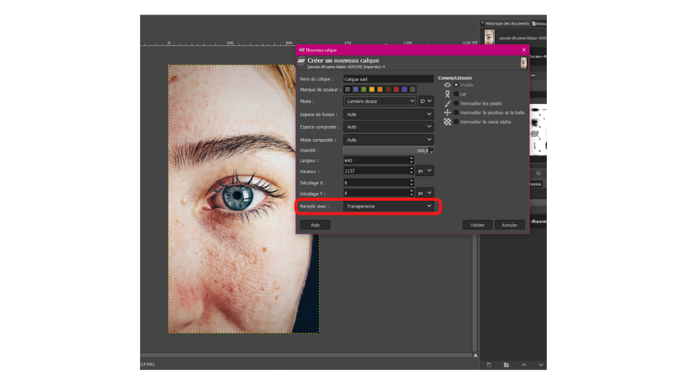 GIMP Yeux 1b © © GIMP