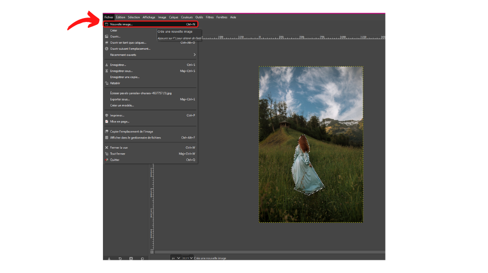 GIMP Detourer 2 © © GIMP
