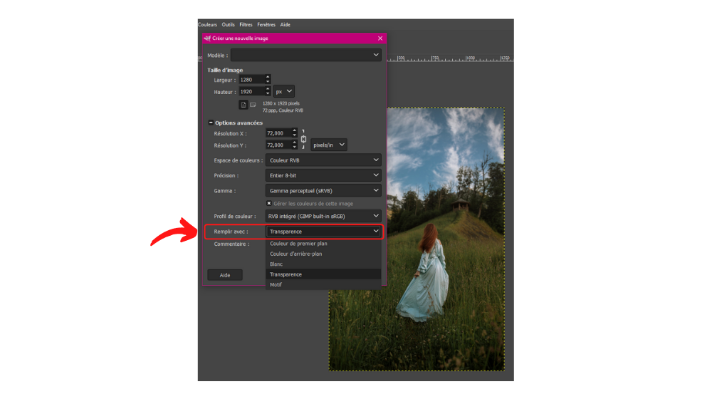 GIMP Detourer 3 © © GIMP