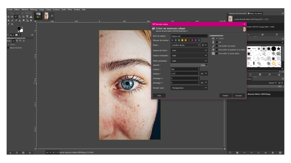 GIMP fiche 1 © © GIMP