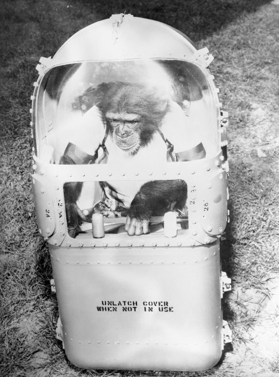 Ham capsule chimpanzé Mercury NASA © NASA