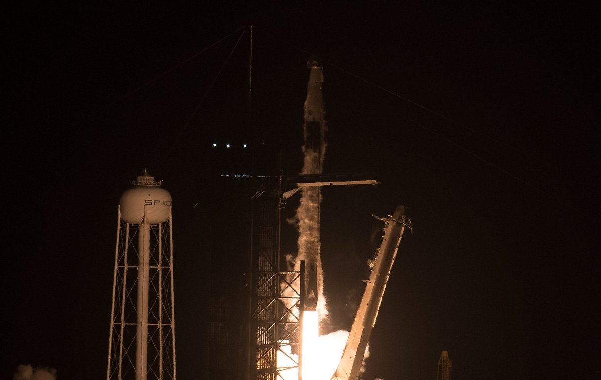 Avec 59 décollages à elle toute seule, Falcon 9 est la fusée incontournable de l'année © SpaceX