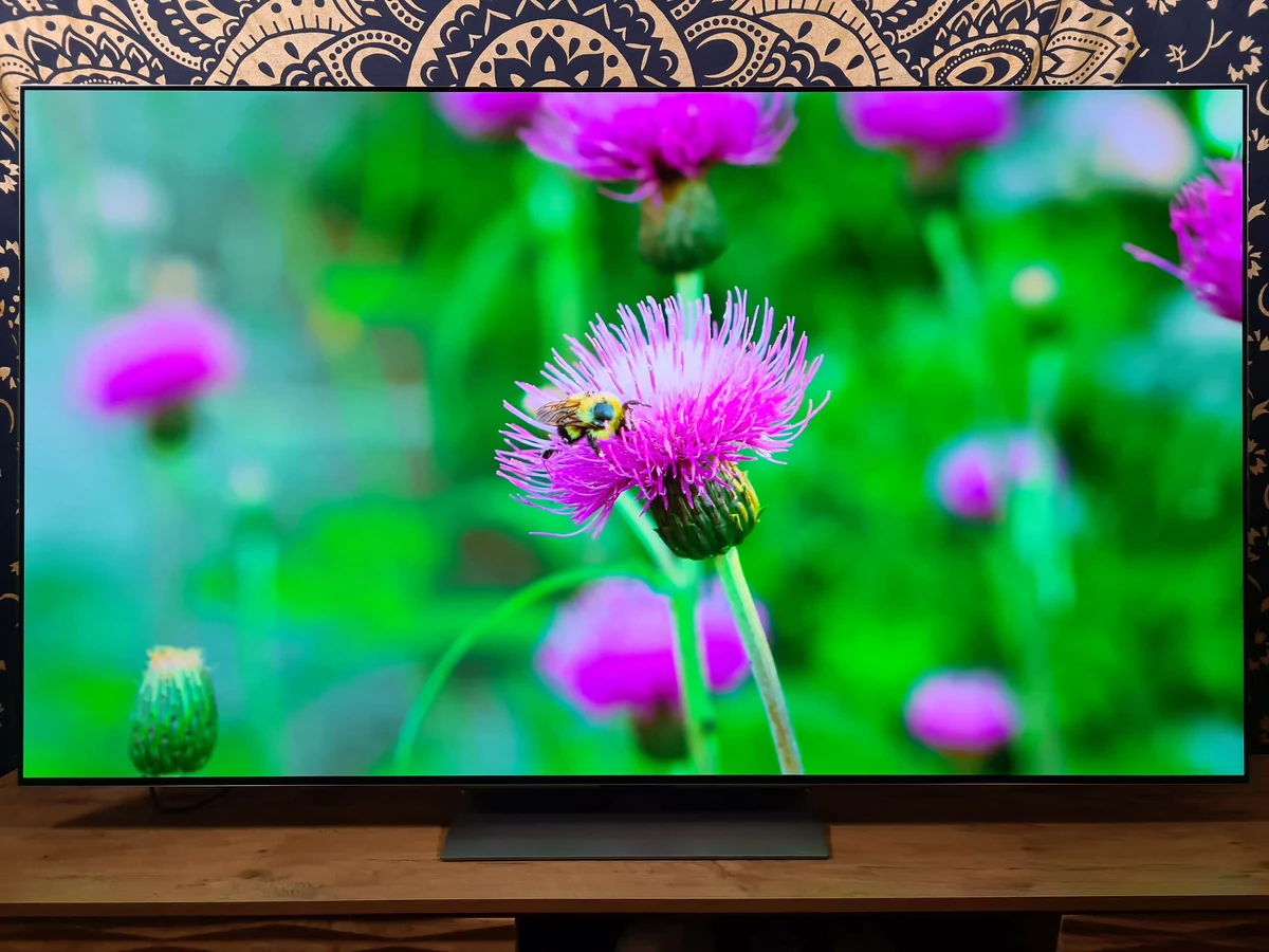 Test LG OLED 65G2 © Matthieu Legouge