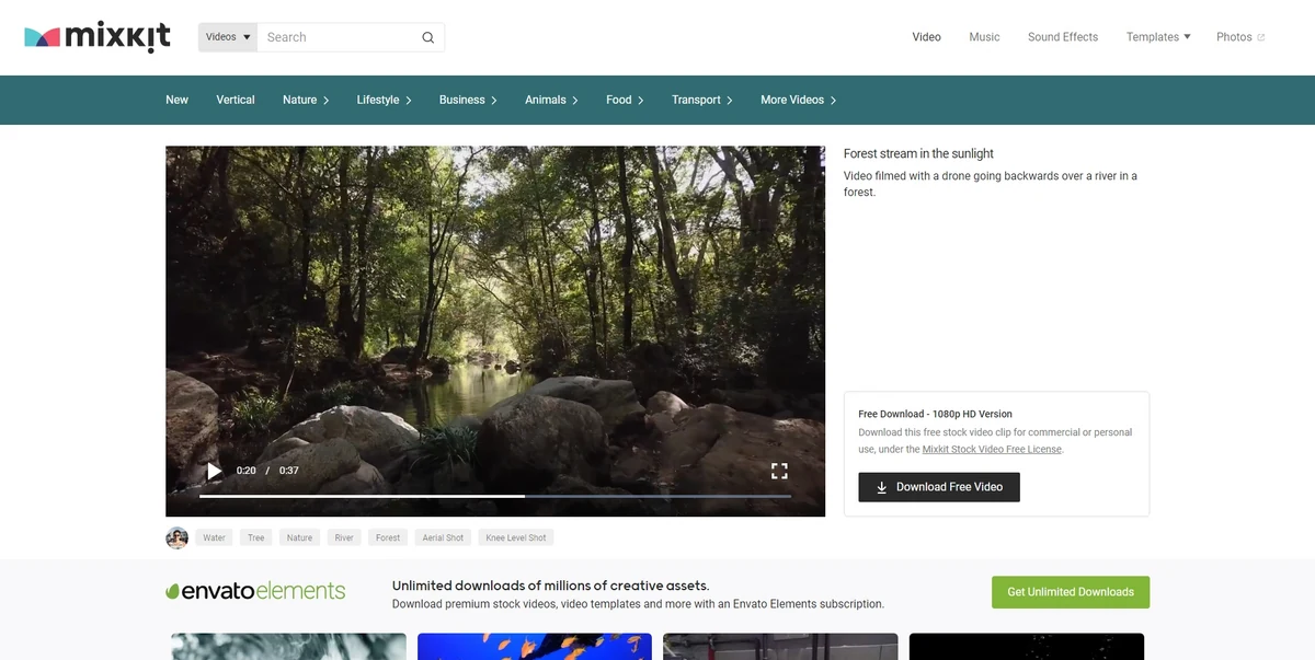 Mixkit video © Mixkit