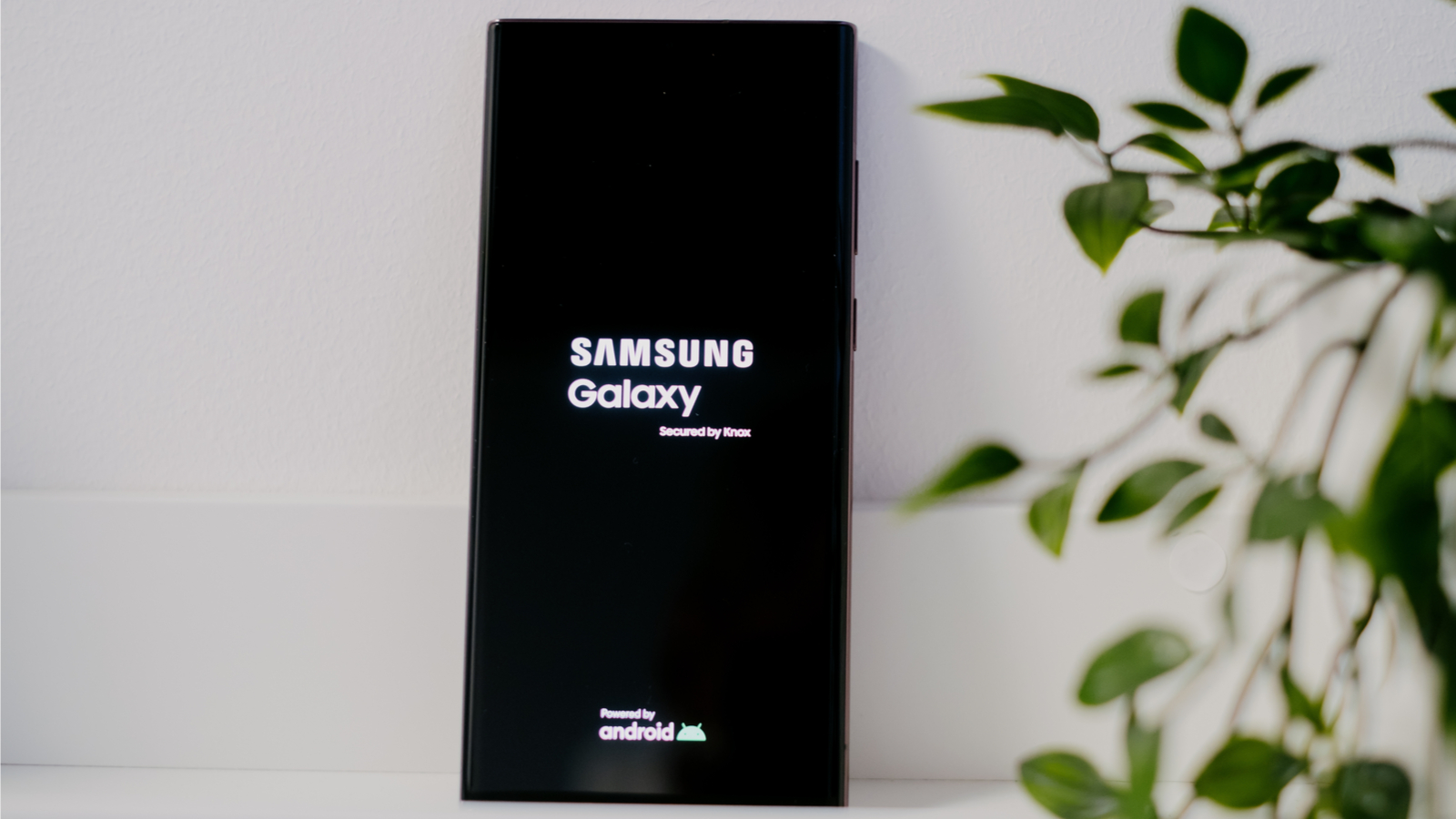 Samsung déploie une mise à jour qui devrait régler de nombreux bugs sur votre Galaxy S22