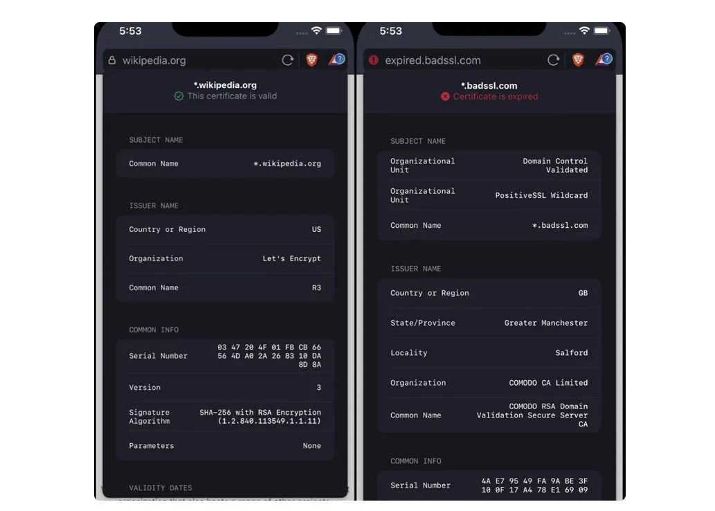 Brave iOS 1.38 © Brave