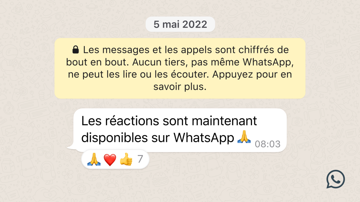 WhatsApp Reactions © (Image : Meta)