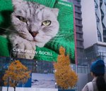 Samsung fait la démonstration de son capteur photo 200 mégapixels… avec une gigantesque photo de chat