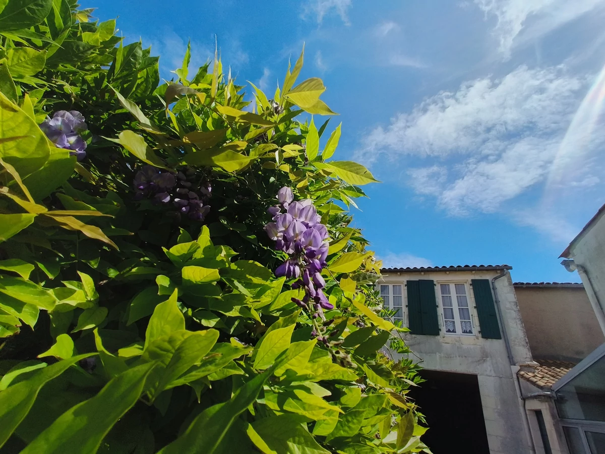 realme GT Neo 3 © © Marc Mitrani pour Clubic