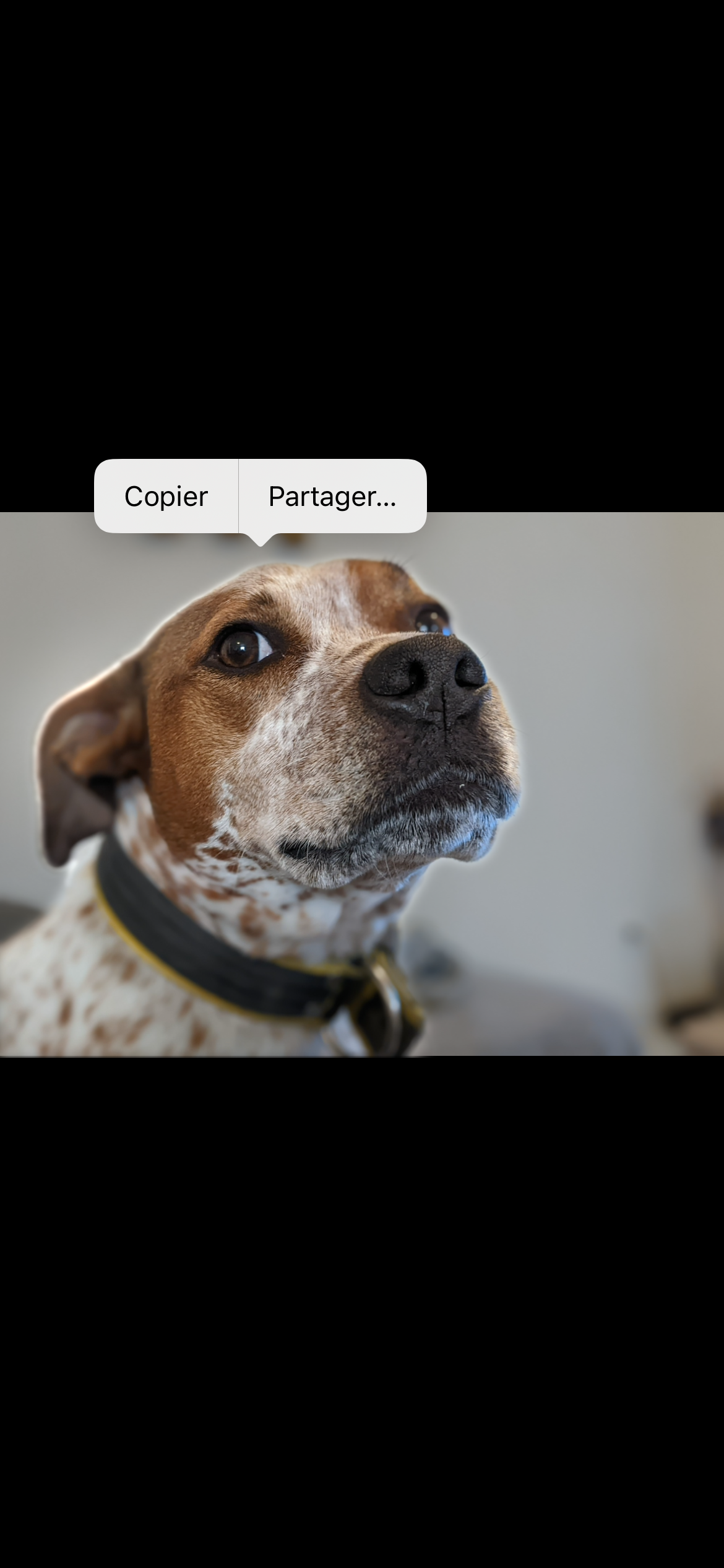 iOS 16 © © Mathieu Grumiaux pour Clubic