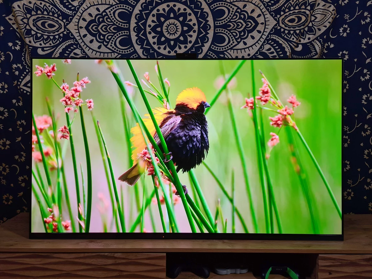 Test Sony Bravia XR A95K © Matthieu Legouge