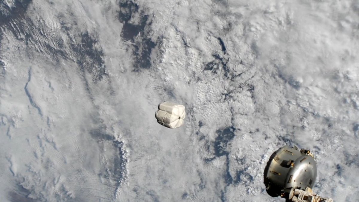 ISS sas bishop nanoracks poubelles © NASA/Nanoracks