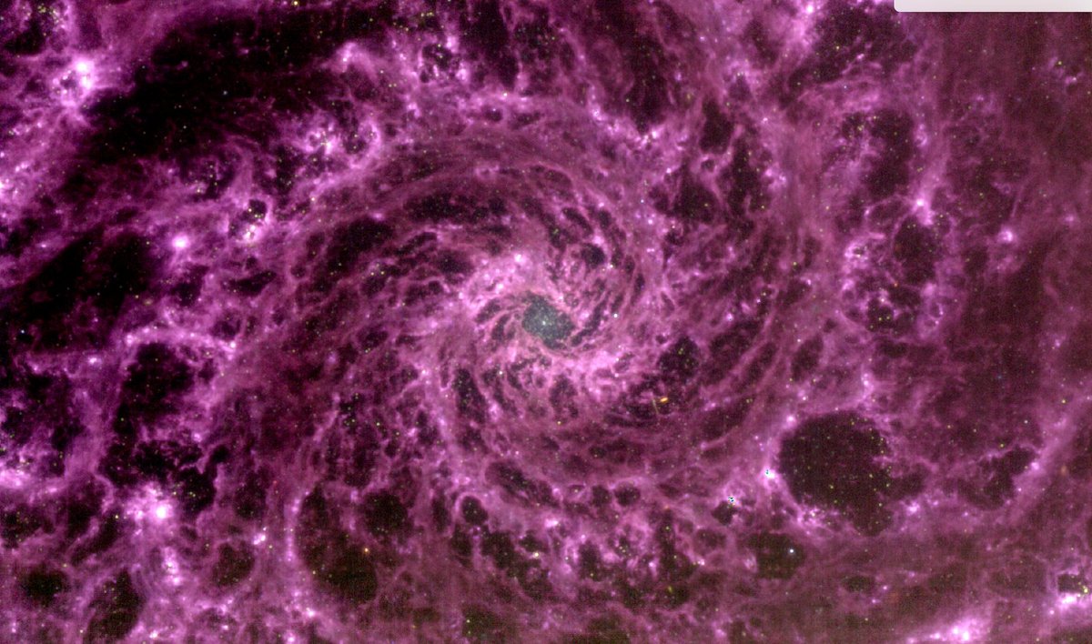 Une vue de la galaxie M74 à travers les yeux infrarouges du James Webb. Crédits : NASA/ESA.CSA/STSci/PHANGS