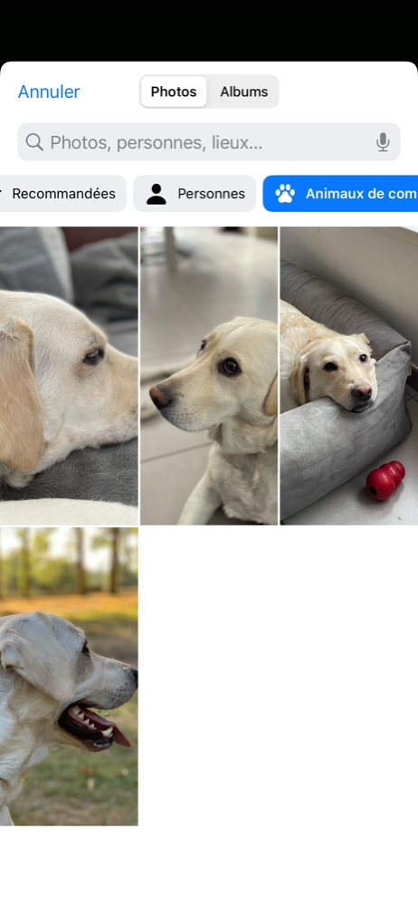 iOS 16 Personnalisation © © Mathieu Grumiaux pour Clubic