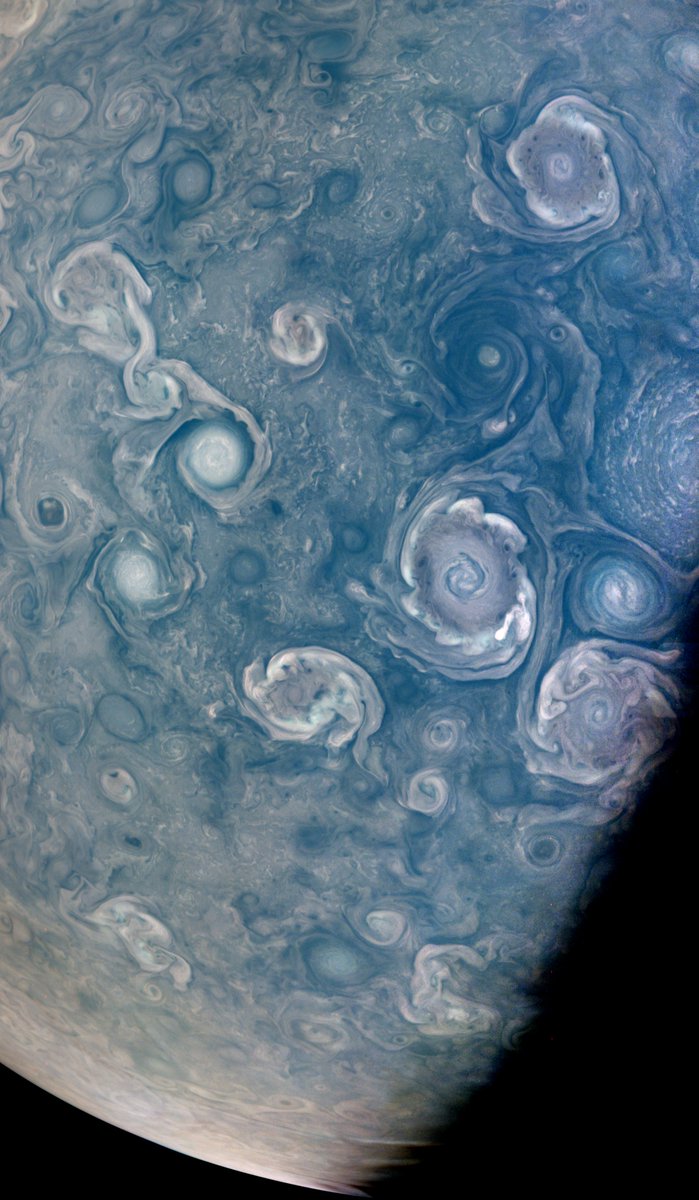 Les vortex de Jupiter, mis en évidence par la Junocam. Crédits NASA/JPL-Caltech/SwRI/MSSS/Brian swift CC-BY