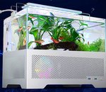 Ce boîtier de PC fait aussi aquarium pour vos petits poissons geeks