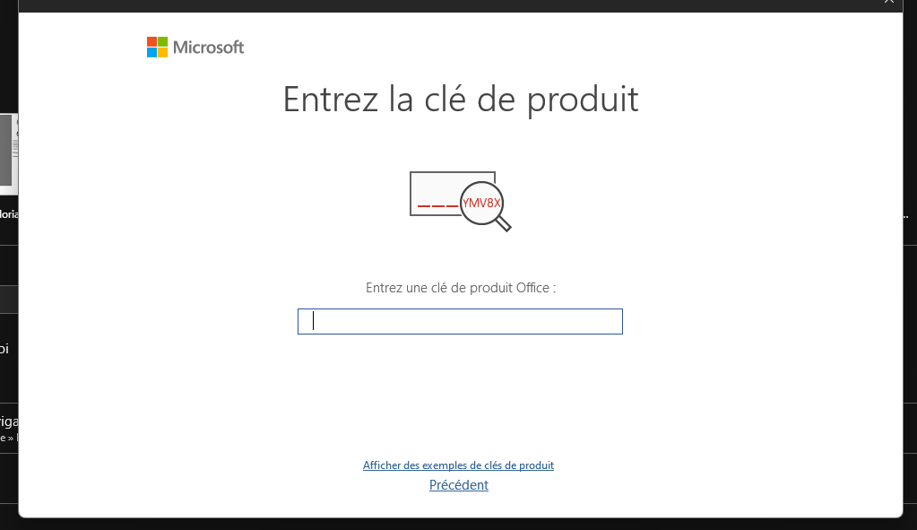 Clé De Licence OEM Authentique Windows 11 Pro (Clé De Licence