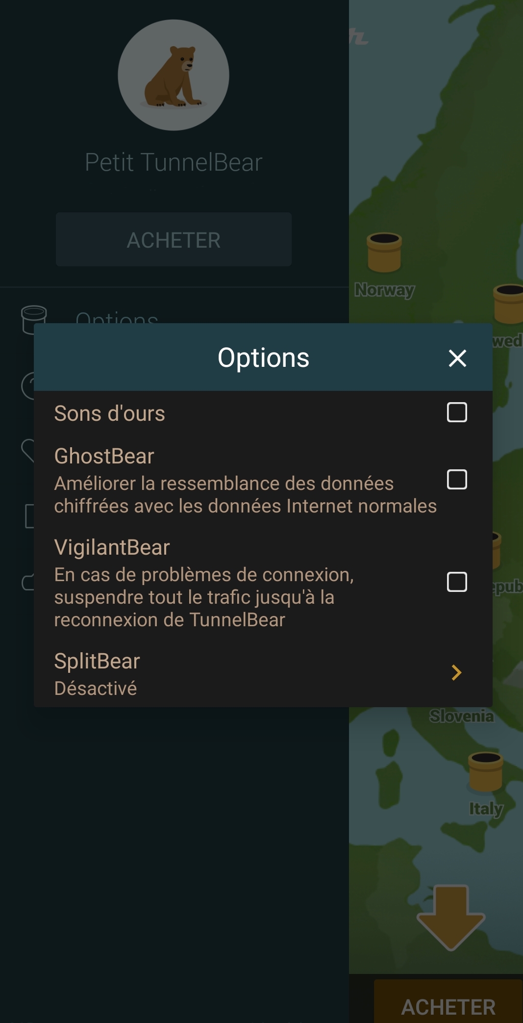TunnelBear - Les options sur Android