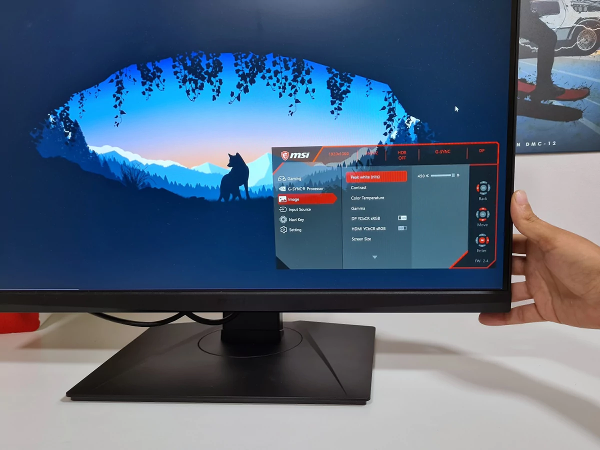 Test MSI Oculux NXG253R © Matthieu Legouge