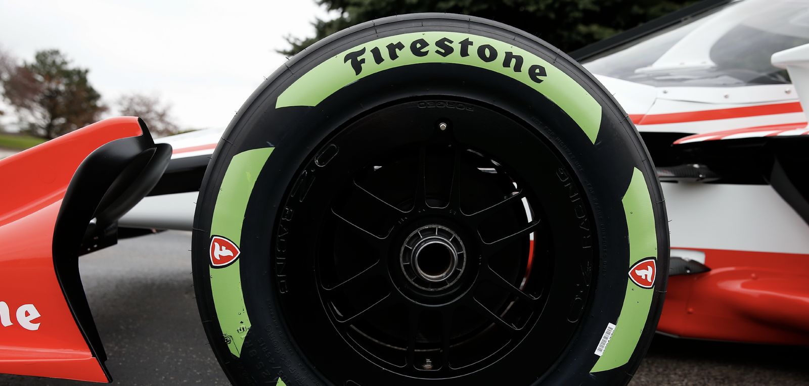 Des pneus fabriqués à partir de plantes désertiques ? C'est le dernier projet fou de Bridgestone