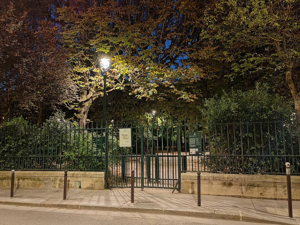 Honor 70 - parc © Fouad Bencheman pour Clubic