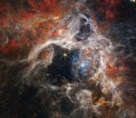 À travers James Webb, la Tarentule brille de milliers de jeunes étoiles encore jamais observées