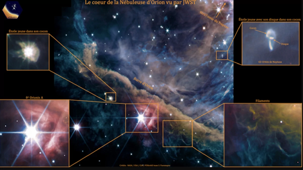 Nébuleuse Orion © NASA/ESA/CSA/PDRs4All ERS Team/Salomé Fuenmayor
