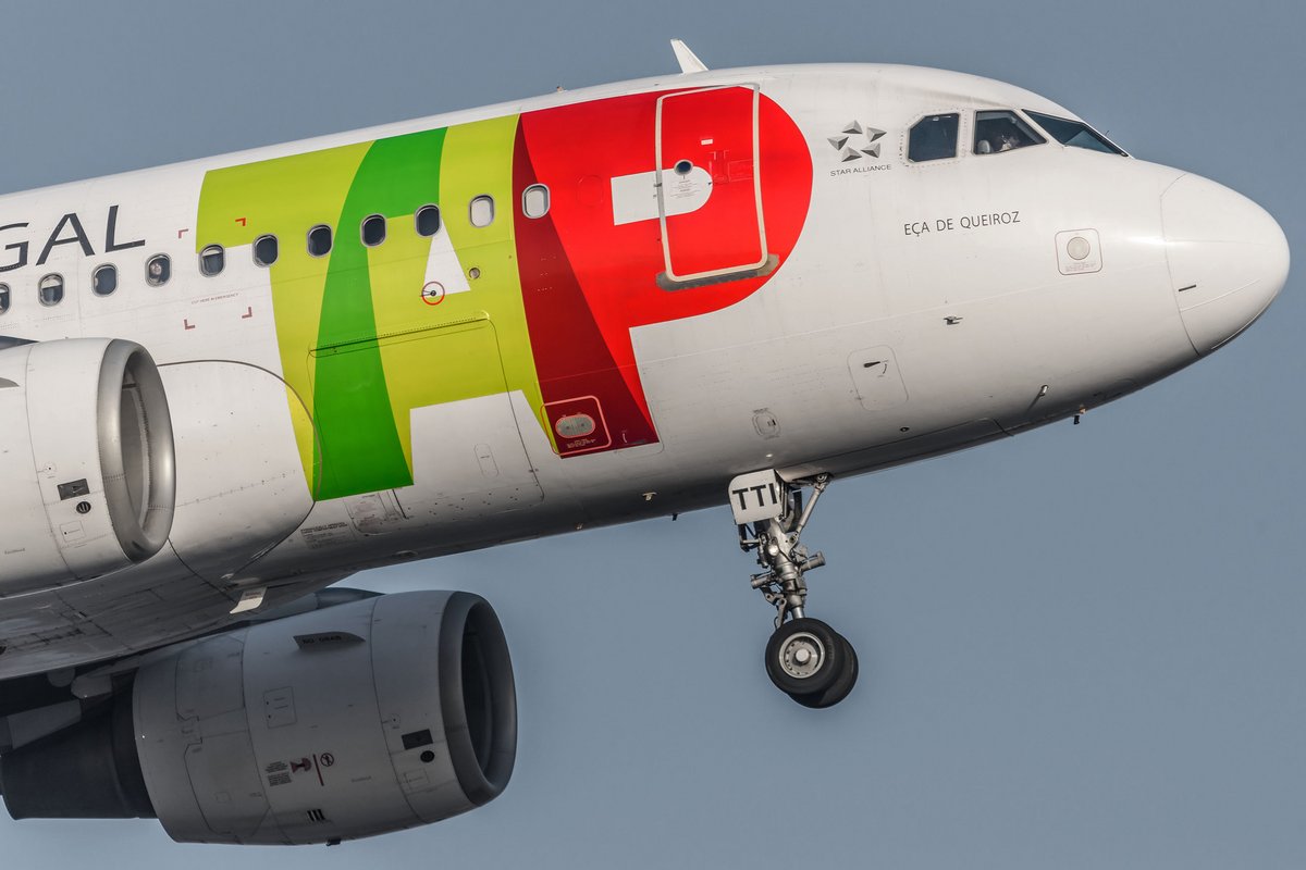 TAP Air Portugal © Shutterstock