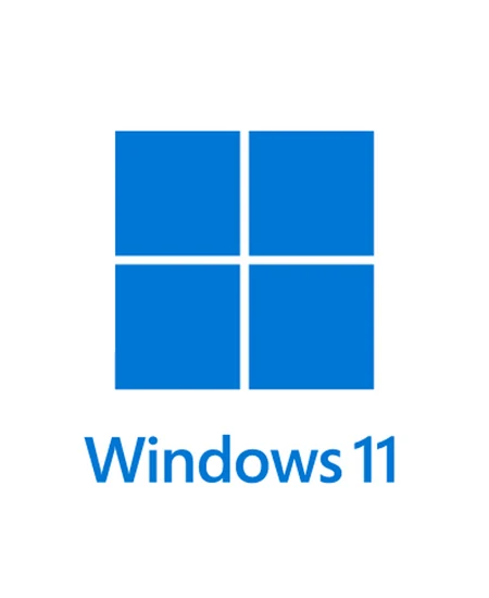Windows 11