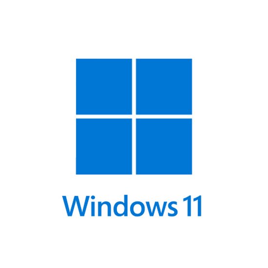 Windows 11