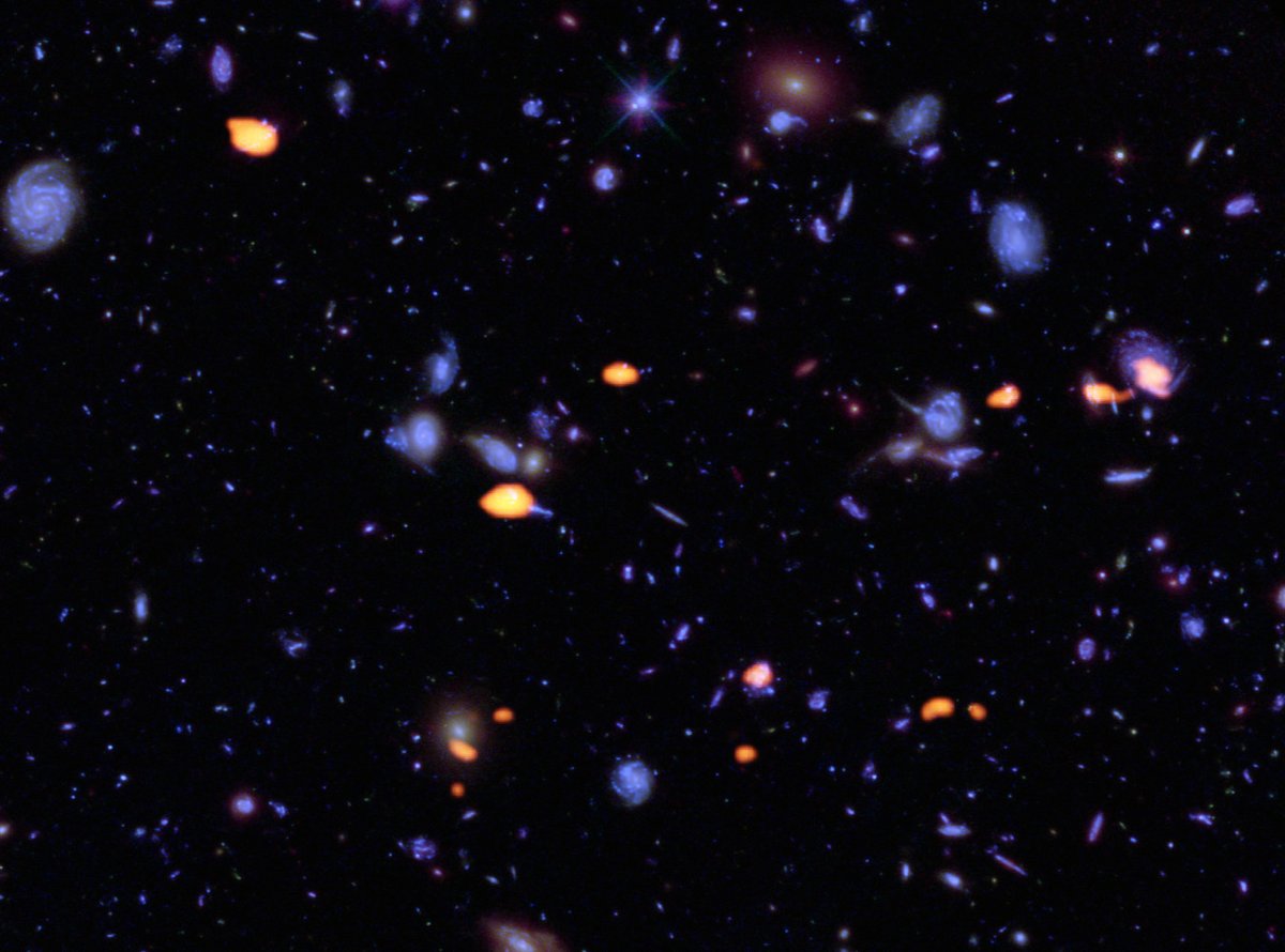 Hubble ALMA deep field travail commun © B. Saxton (NRAO/AUI/NSF); ALMA (ESO/NAOJ/NRAO); NASA/ESA Hubble
