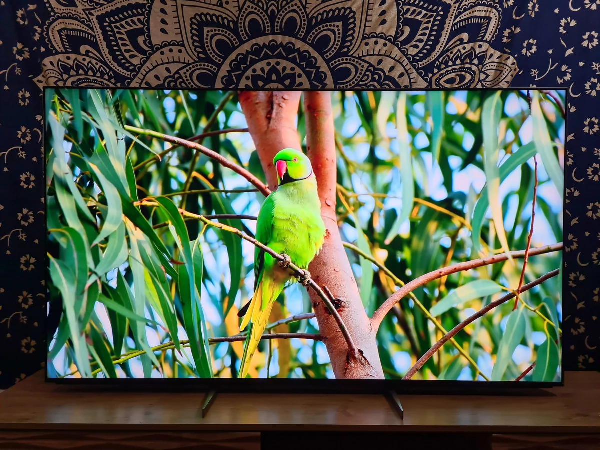 Test Sony Bravia XR-65X95K © Matthieu Legouge