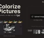 Ce site gratuit donne de la couleur à vos vieilles photos en noir et blanc