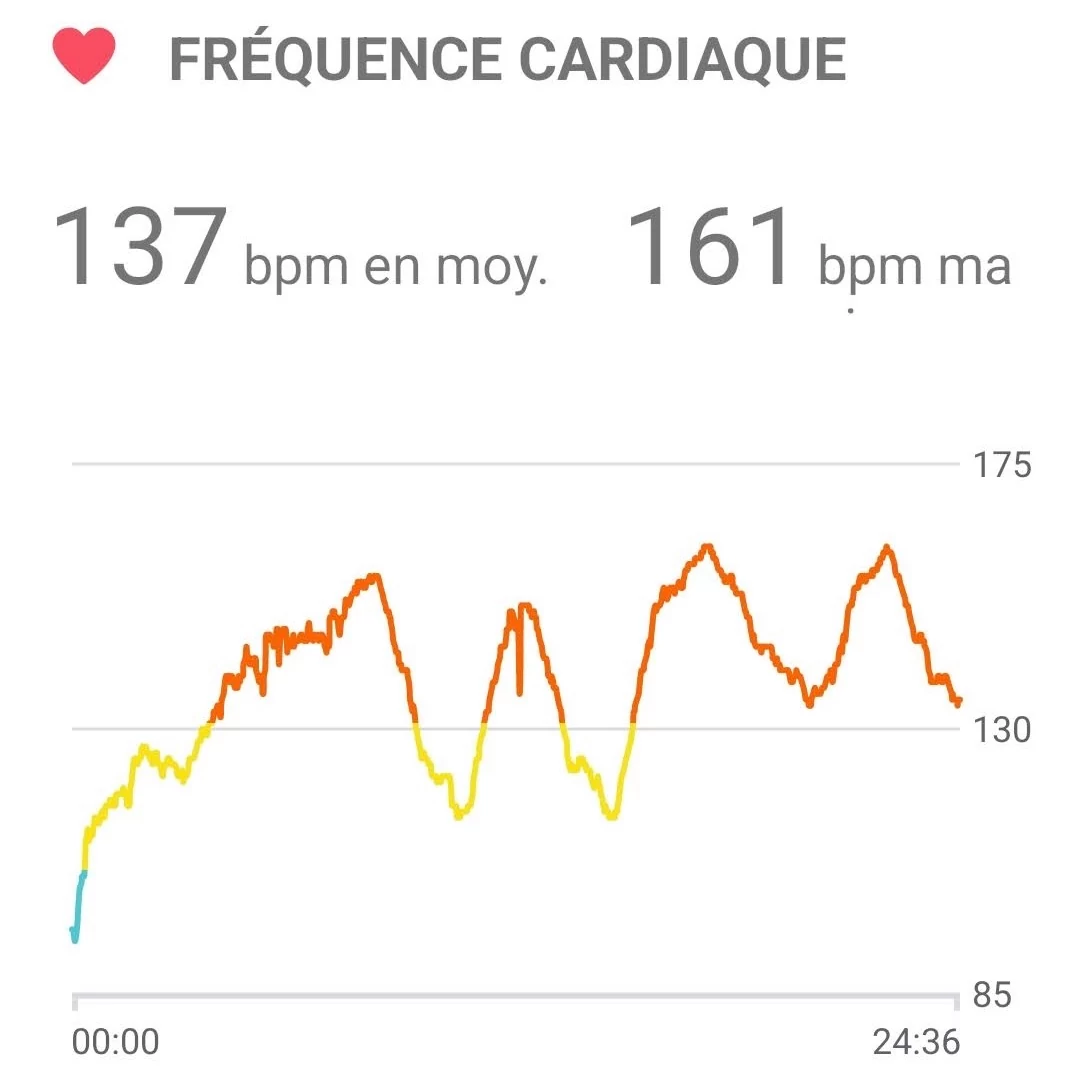 Pixel Watch - Courbe cardio © Johan Gautreau