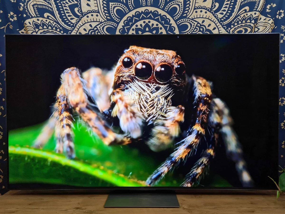 Test TCL 65C835 © Matthieu Legouge