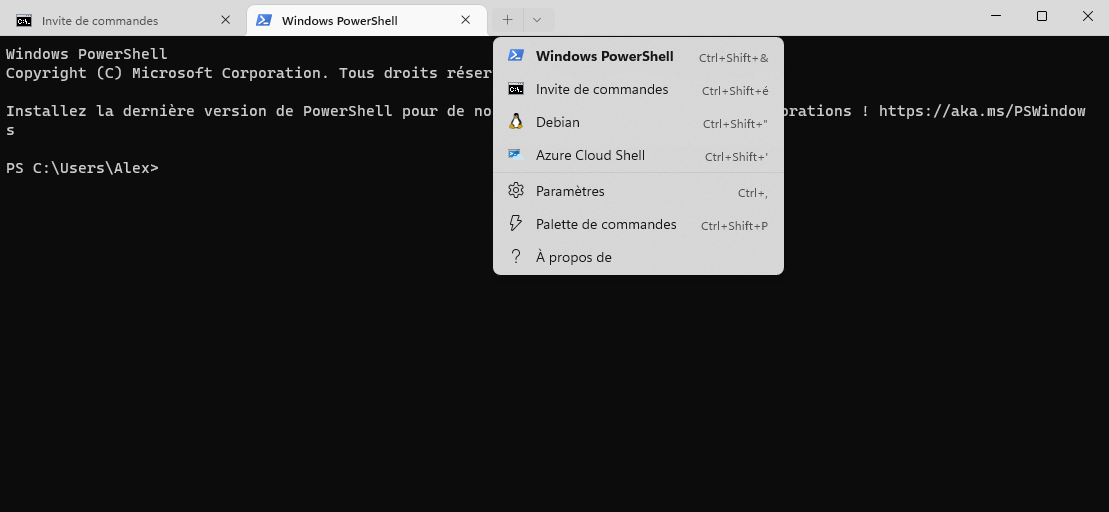 Windows 11 cmd
